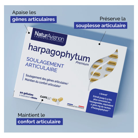 Harpagophytum gélules - Apaiser les douleurs articulaires NaturAvignon - 2