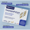 Harpagophytum gélules - Apaiser les douleurs articulaires NaturAvignon - 2