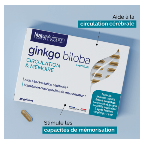 Ginkgo biloba - Stimuler les capacités de mémorisation NaturAvignon - 2