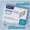 Ginkgo biloba - Stimuler les capacités de mémorisation NaturAvignon - 2