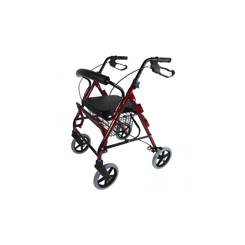 Rollator fauteuil de transfert Vicor Identités - 1 Rollator fauteuil de transfert Vicor Identités - 1