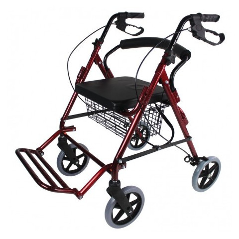 Rollator fauteuil de transfert Vicor Identités - 2