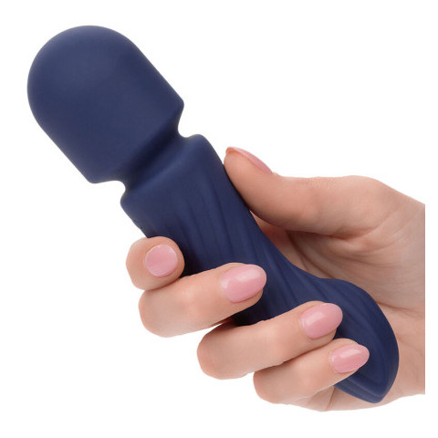 Calexotics - Masseur Wand double moteurs  - 2