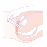 Vagiwell - Dilatateur vaginal taille 6 Vagiwell - 6 Vagiwell - Dilatateur vaginal taille 6 Vagiwell - 6
