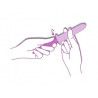 Dilatateurs vaginaux Velvi - kit complet Dilatateurs vaginaux Velvi - kit complet