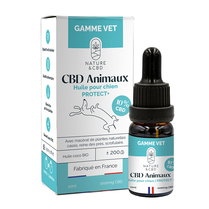 Huile CBD Animaux Protect+ 10% - chien | SENIOR MEDICAL