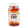 Gummies à l'orange CBD 10 mg – Hemeka (Boîte de 25)| SENIOR MEDICAL