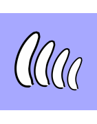Dilatateur vaginal